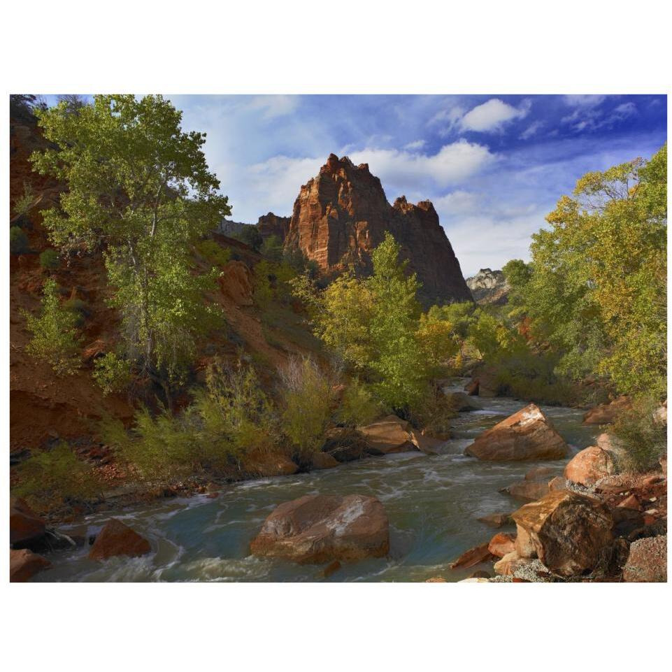 Mt Spry at 5,823 foot elevation with the Virgin River surrounded by Cottonwood trees, Zion National Park, Utah-Paper Art-34&quotx26"