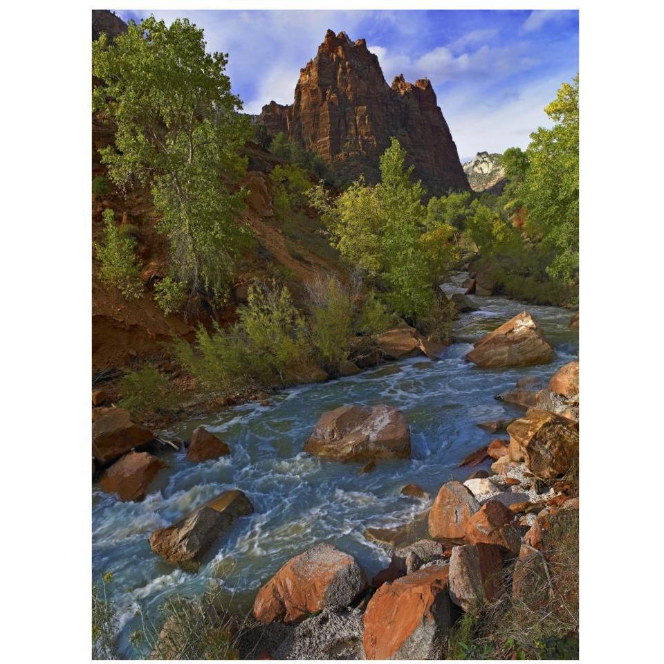 Mt Spry at 5,823 foot elevation with the Virgin River surrounded by Cottonwood trees, Zion National Park, Utah-Paper Art-26&quotx34"