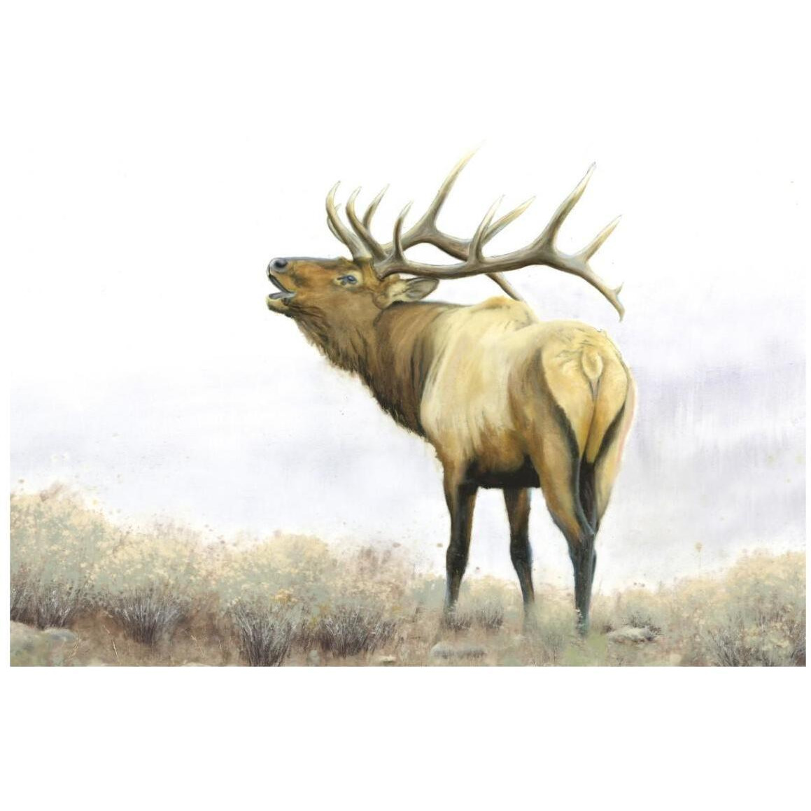 Majestic Elk -Paper Art-20&quotx14"