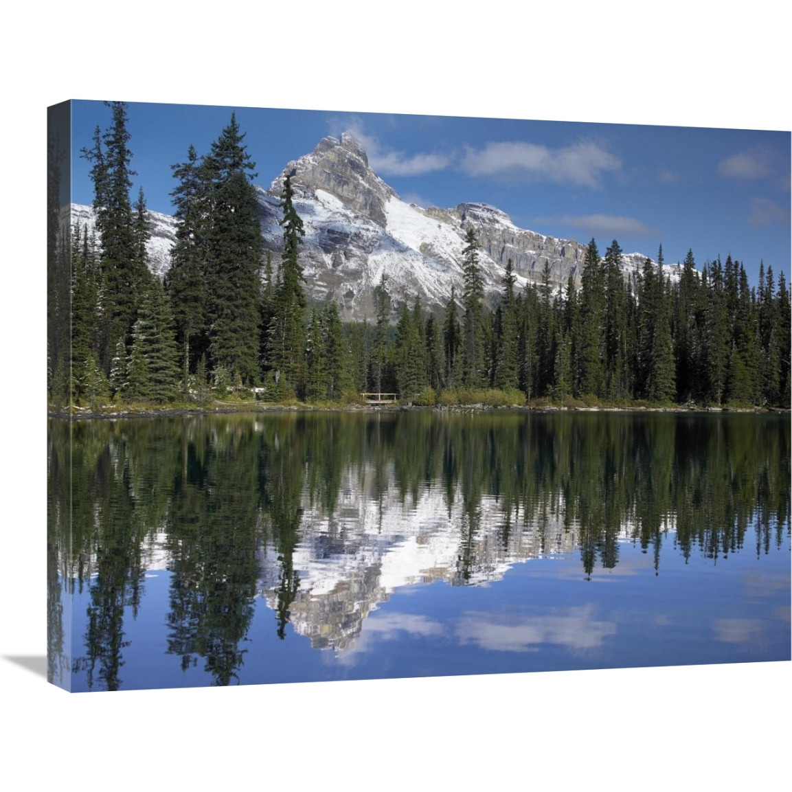 Wiwaxy Peaks and Cathedral Mountain at Lake O&quotHara, Yoho National Park, British Columbia, Canada-Canvas Art-28&quotx22"