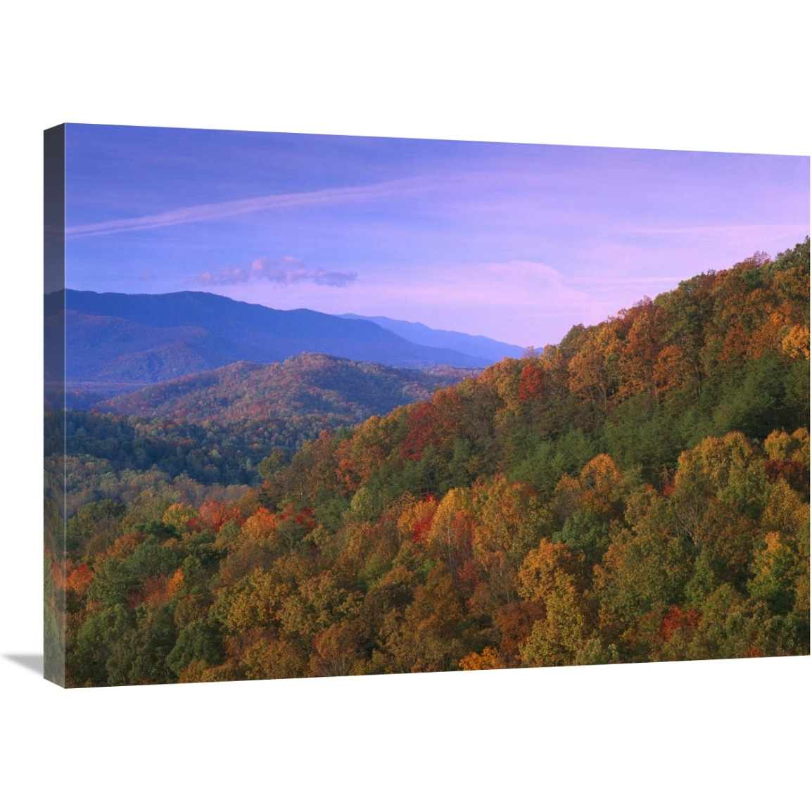 Appalachian Mountains ablaze with fall color, Great Smoky Mountains National Park, North Carolina-Canvas Art-32&quotx24"