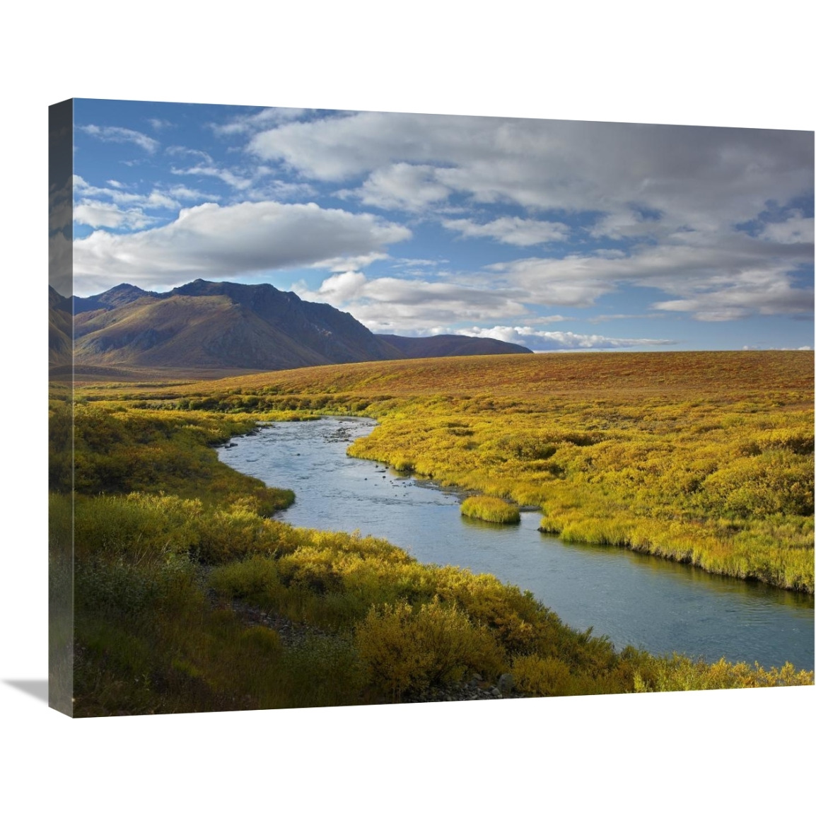 North Klondike River flowing through tundra beneath the Ogilvie Mountains, Yukon Territory, Canada-Canvas Art-28&quotx22"