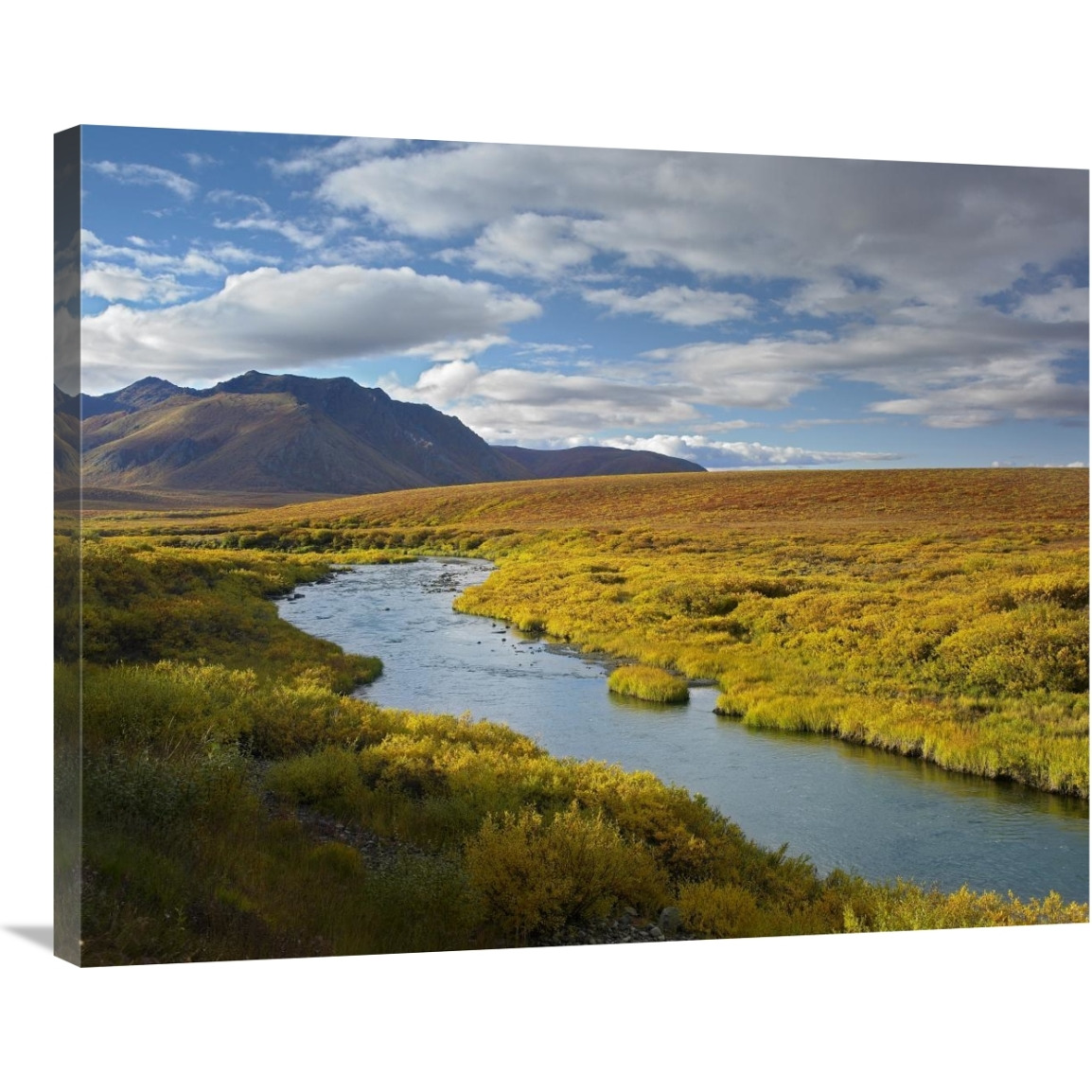 North Klondike River flowing through tundra beneath the Ogilvie Mountains, Yukon Territory, Canada-Canvas Art-35&quotx28"