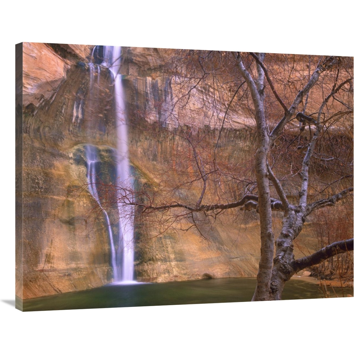 Calf Creek Falls cascading down sandstone cliff with desert varnish, Escalante National Monument, Utah-Canvas Art-40&quotx30"