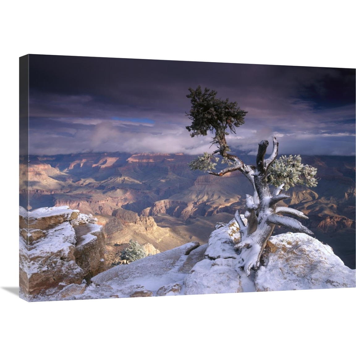 South Rim of Grand Canyon with a dusting of snow seen from Yaki Point, Grand Canyon National Park, Arizona-Canvas Art-32&quotx24"