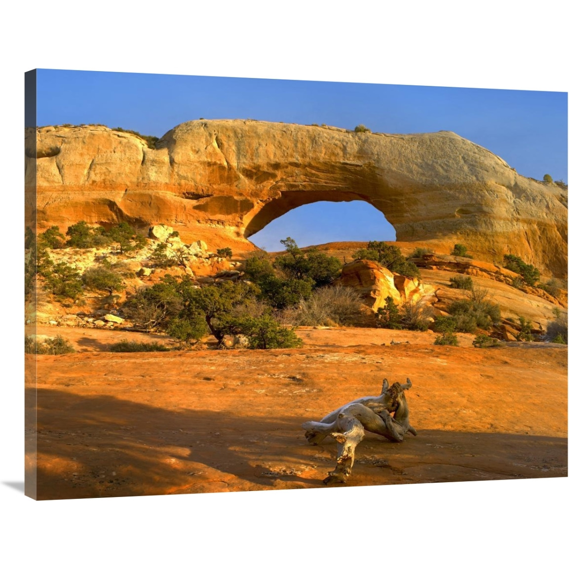 Wilson Arch with a span of 91 feet and height of 46 feet, made of entrada sandstone, Utah-Canvas Art-40&quotx30"