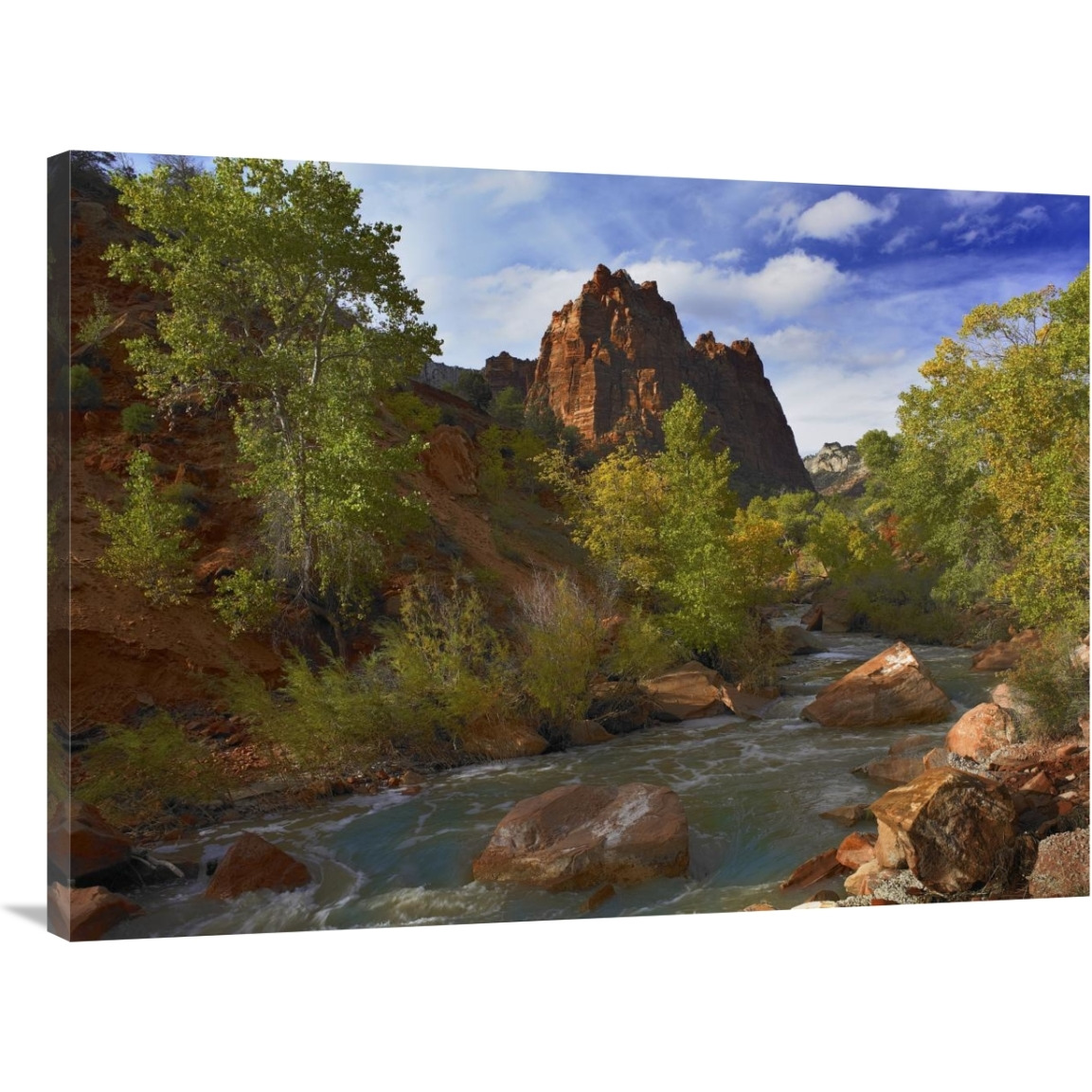 Mt Spry at 5,823 foot elevation with the Virgin River surrounded by Cottonwood trees, Zion National Park, Utah-Canvas Art-40&quotx30"