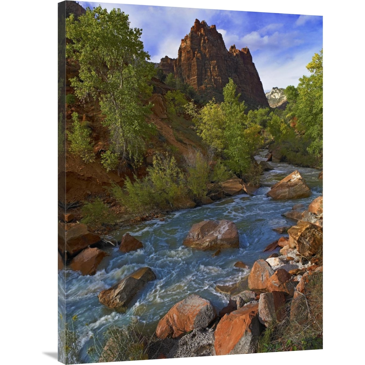 Mt Spry at 5,823 foot elevation with the Virgin River surrounded by Cottonwood trees, Zion National Park, Utah-Canvas Art-30&quotx40"