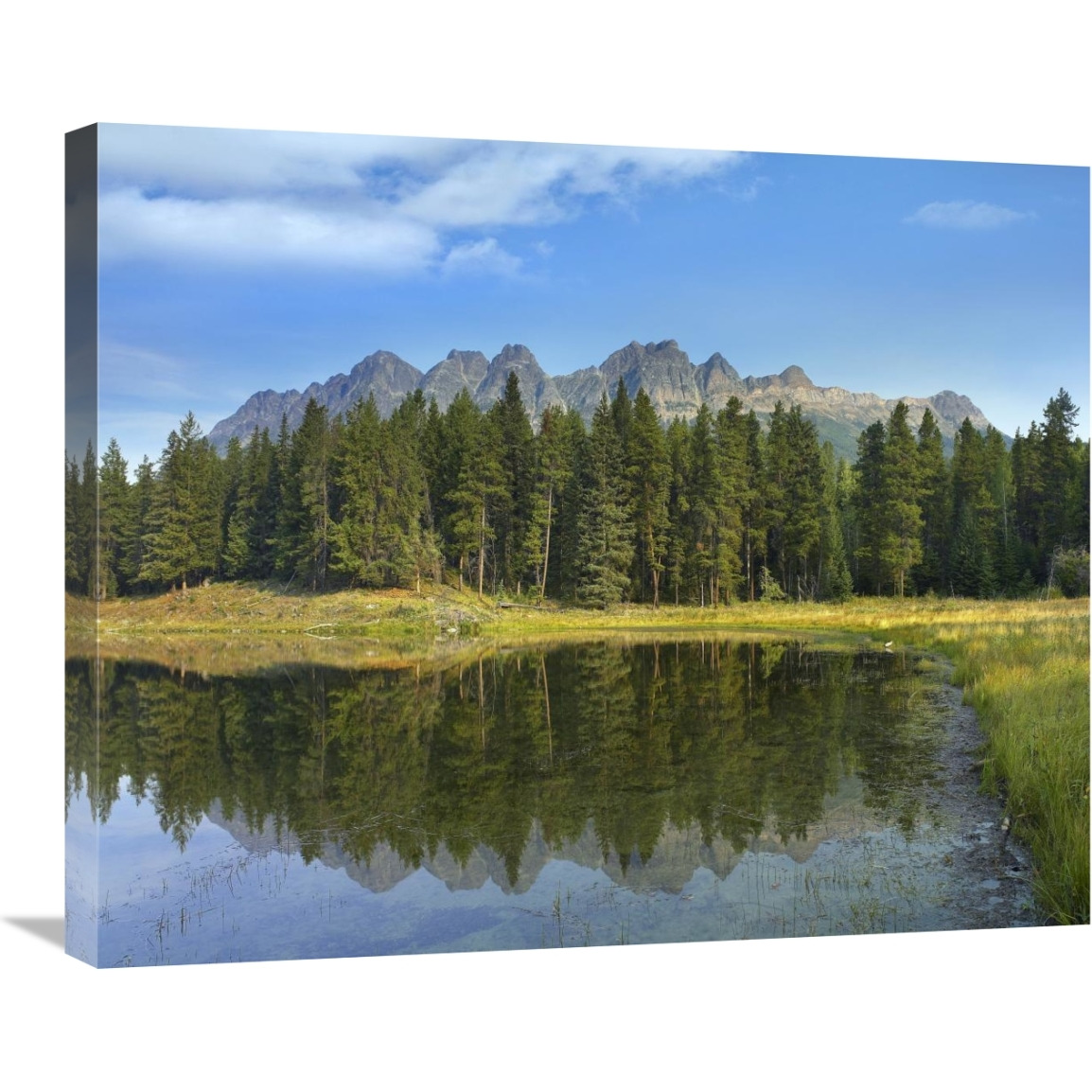 Yellowhead Mountain and Yellowhead Lake with boreal forest, Mount Robson Provinvial Park, British Columbia, Canada-Canvas Art-28&quotx22"