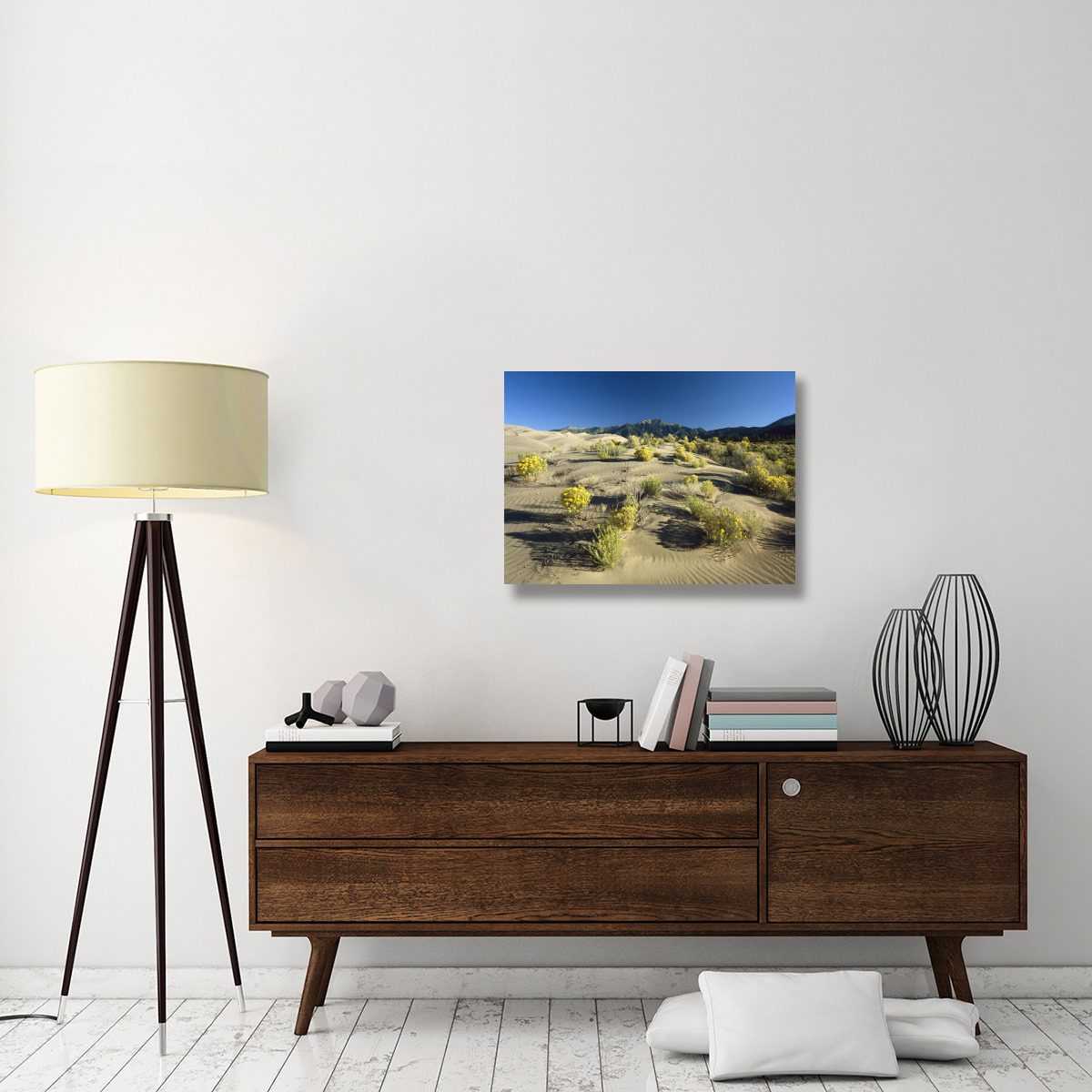 Flowering shrubs on the dune fields in front of the Sangre de Cristo Mountains, Great Sand Dunes National Monument, Colorado-Canvas Art-32&quotx24"