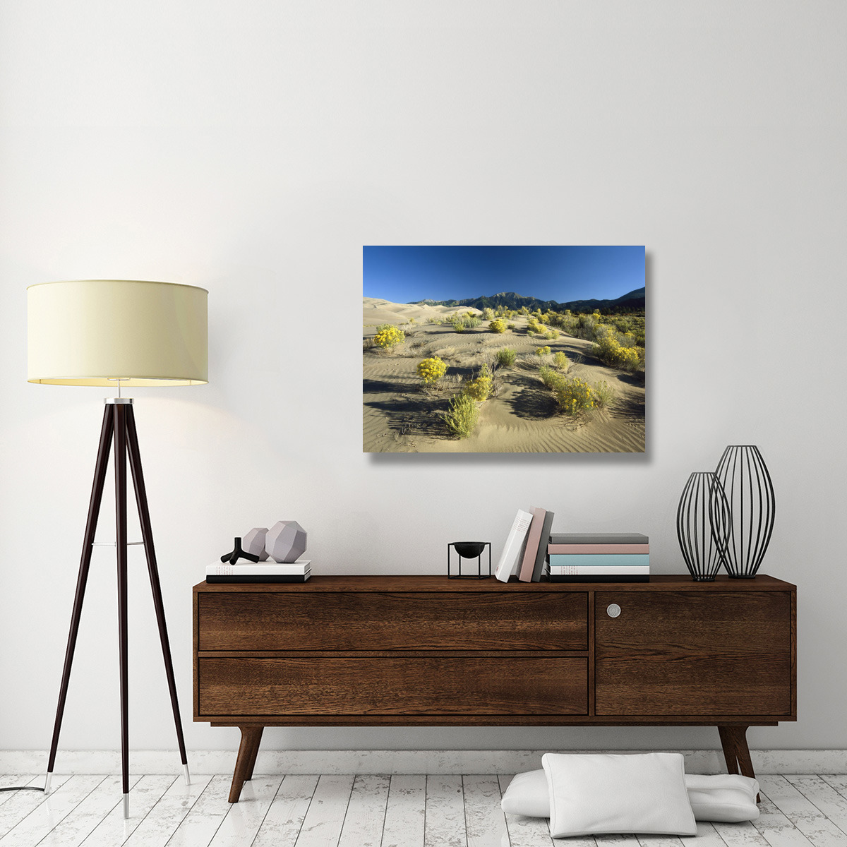 Flowering shrubs on the dune fields in front of the Sangre de Cristo Mountains, Great Sand Dunes National Monument, Colorado-Canvas Art-40&quotx30"