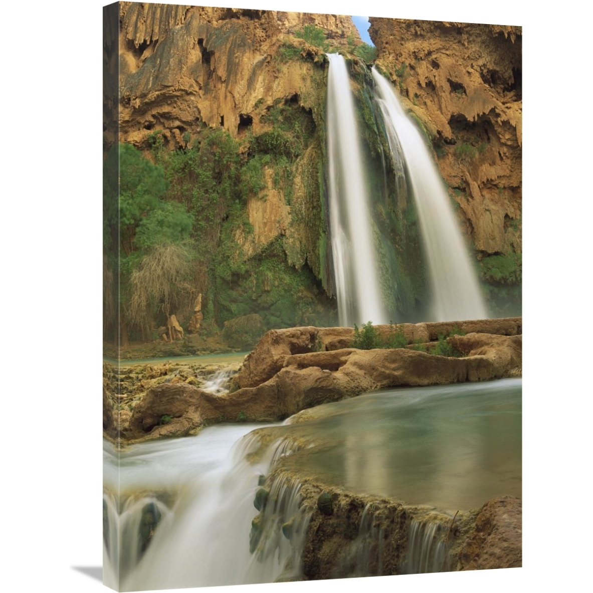 Havasu Creek, lined with Cottonwood trees, Havasu Falls, Grand Canyon, Arizona-Canvas Art-24&quotx32"