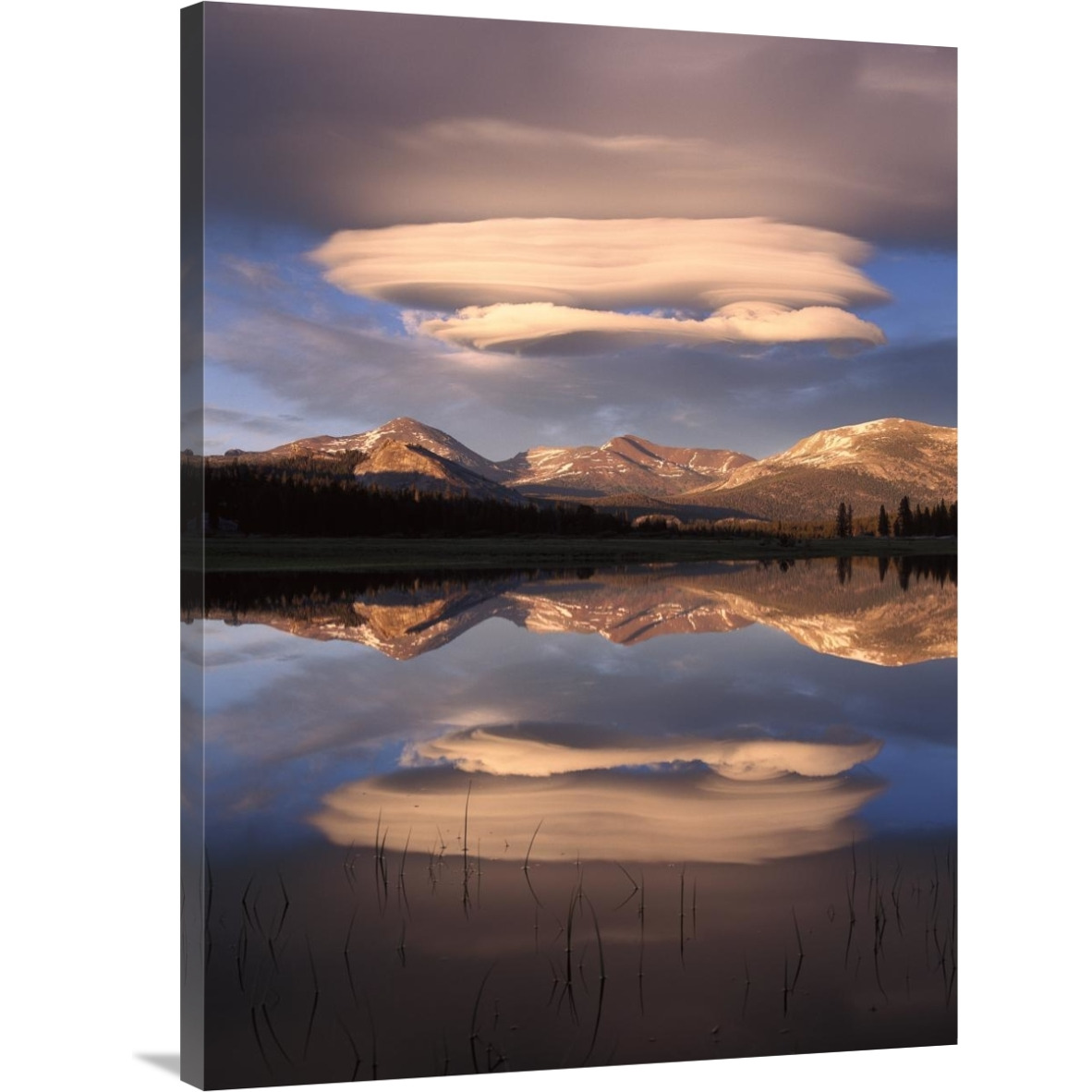 Lenticular clouds over Mt Dana, Mt Gibbs and Mammoth Peak reflected in flooded Tuolumne Meadows, Yosemite National Park, California-Canvas Art-30&quotx40"