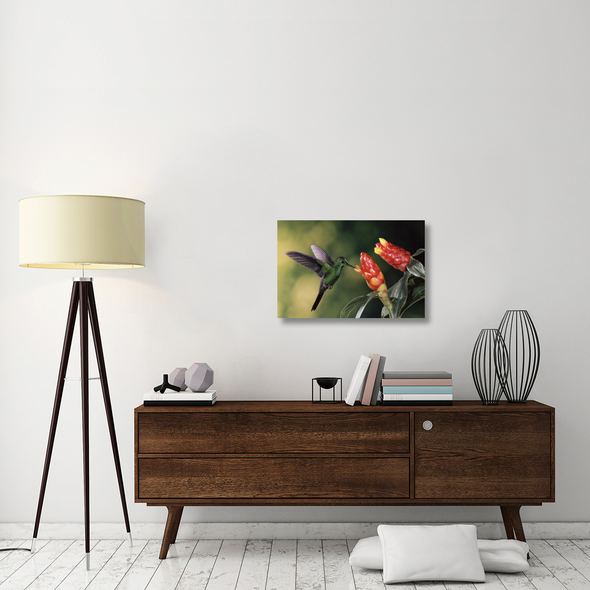 Green-crowned Brilliant hummingbird, feeding and pollinating Spiral Flag ginger flowers, Monteverde Cloud Forest Reserve, Costa Rica-Canvas Art-30&quotx20"