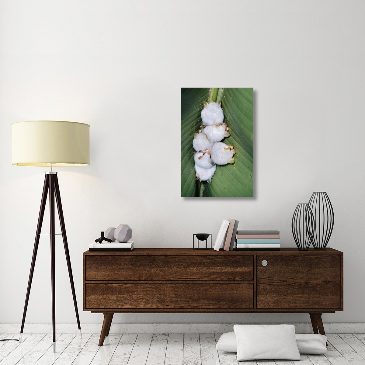 Honduran White Bat group roosting under Heliconia leaf, rainforest, Costa Rica-Canvas Art-24&quotx36"