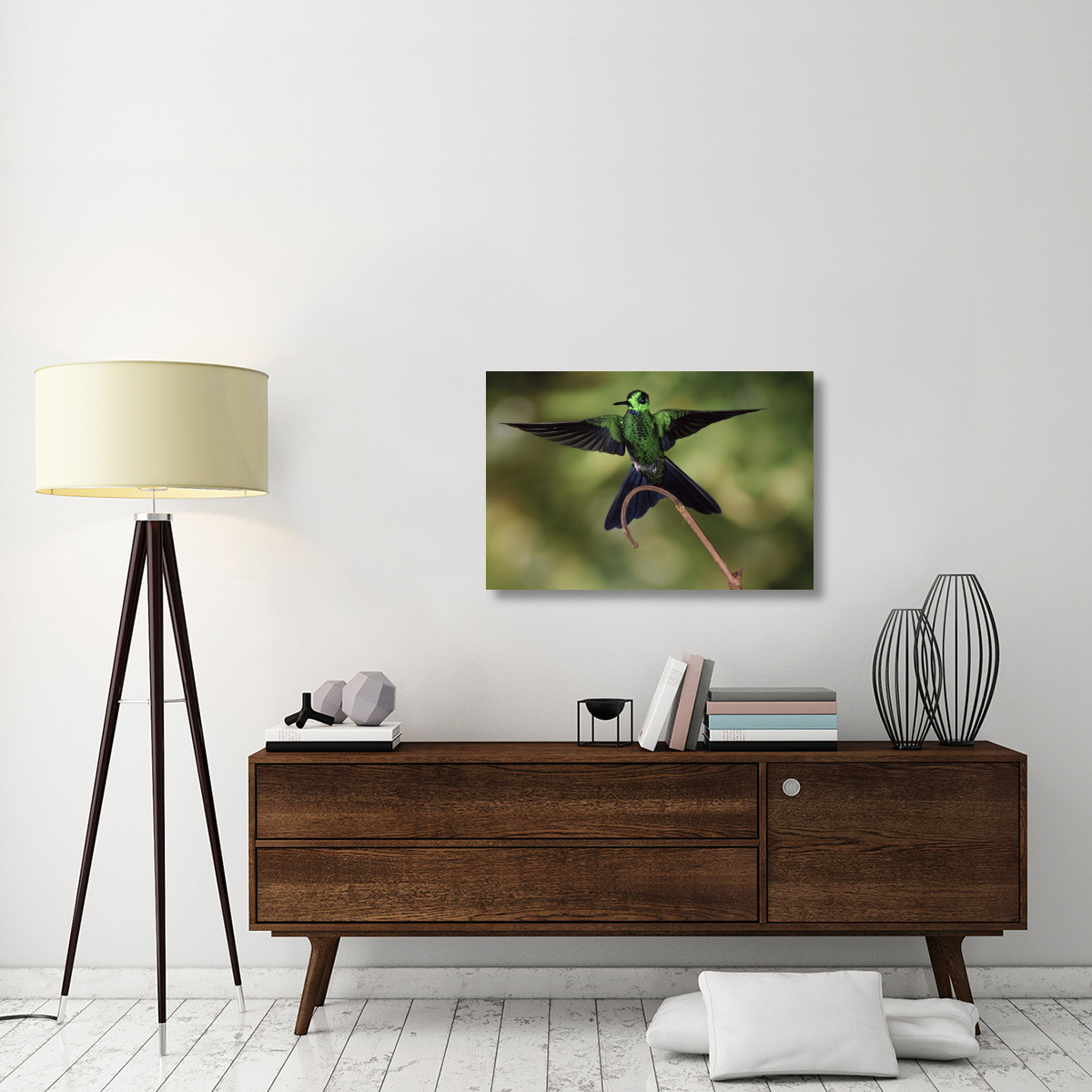 Green-crowned Brilliant male, cloud forest, Costa Rica-Canvas Art-36&quotx24"