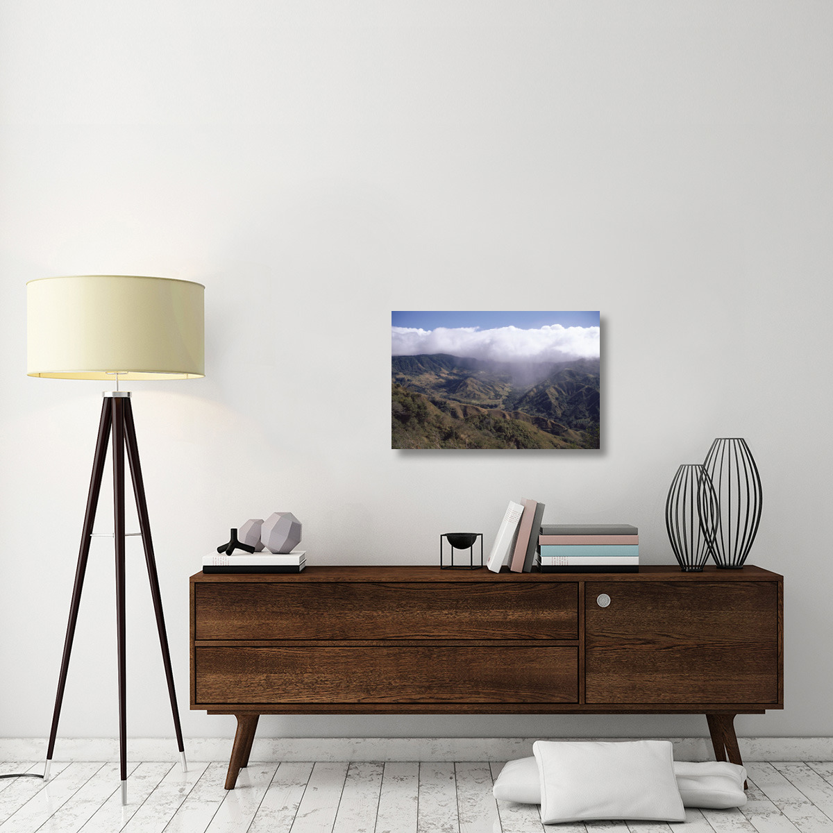 Deforested hills, Monteverde Cloud Forest Reserve, Costa Rica-Canvas Art-30&quotx20"