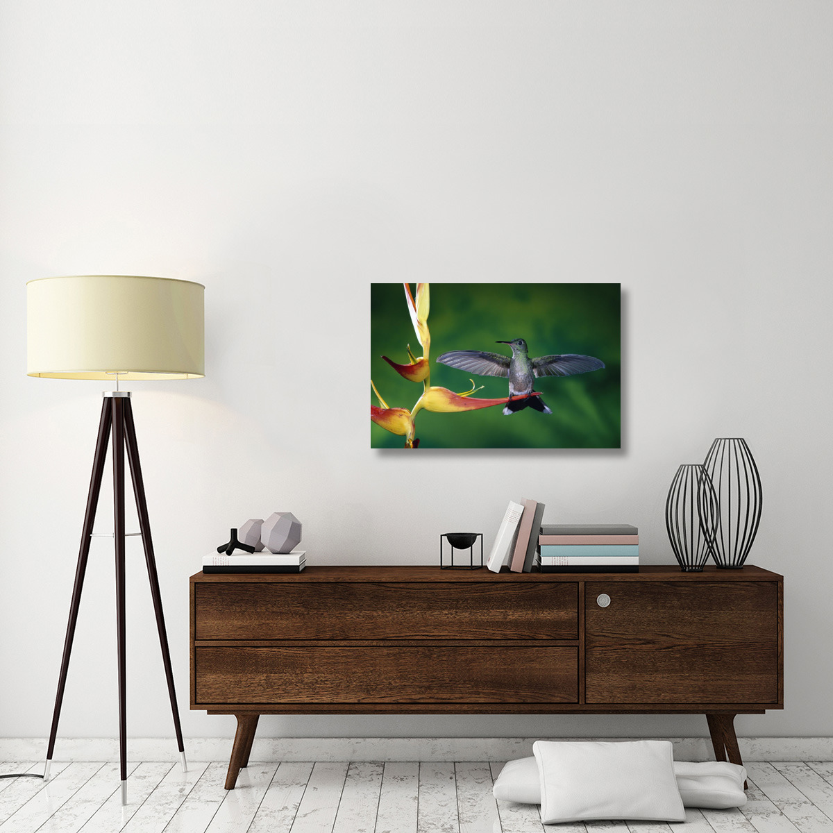 Scaly-breasted Hummingbird near a Heliconia flower in rainforest, Costa Rica-Canvas Art-36&quotx24"