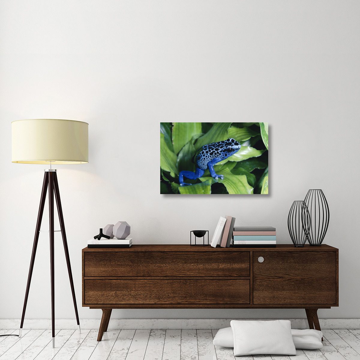 Blue Poison Dart Frog very tiny frog used by Indian tribes to poison tips of arrows, native to South America-Canvas Art-36&quotx24"