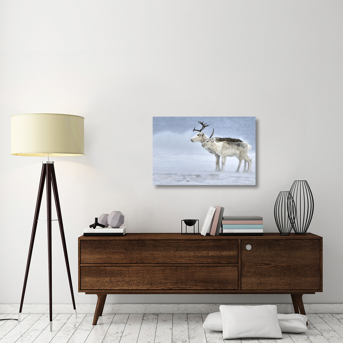 Two Reindeer, male and female during a blizzard, Kiberg Varanger Finnmark,Norway-Canvas Art-36&quotx24"