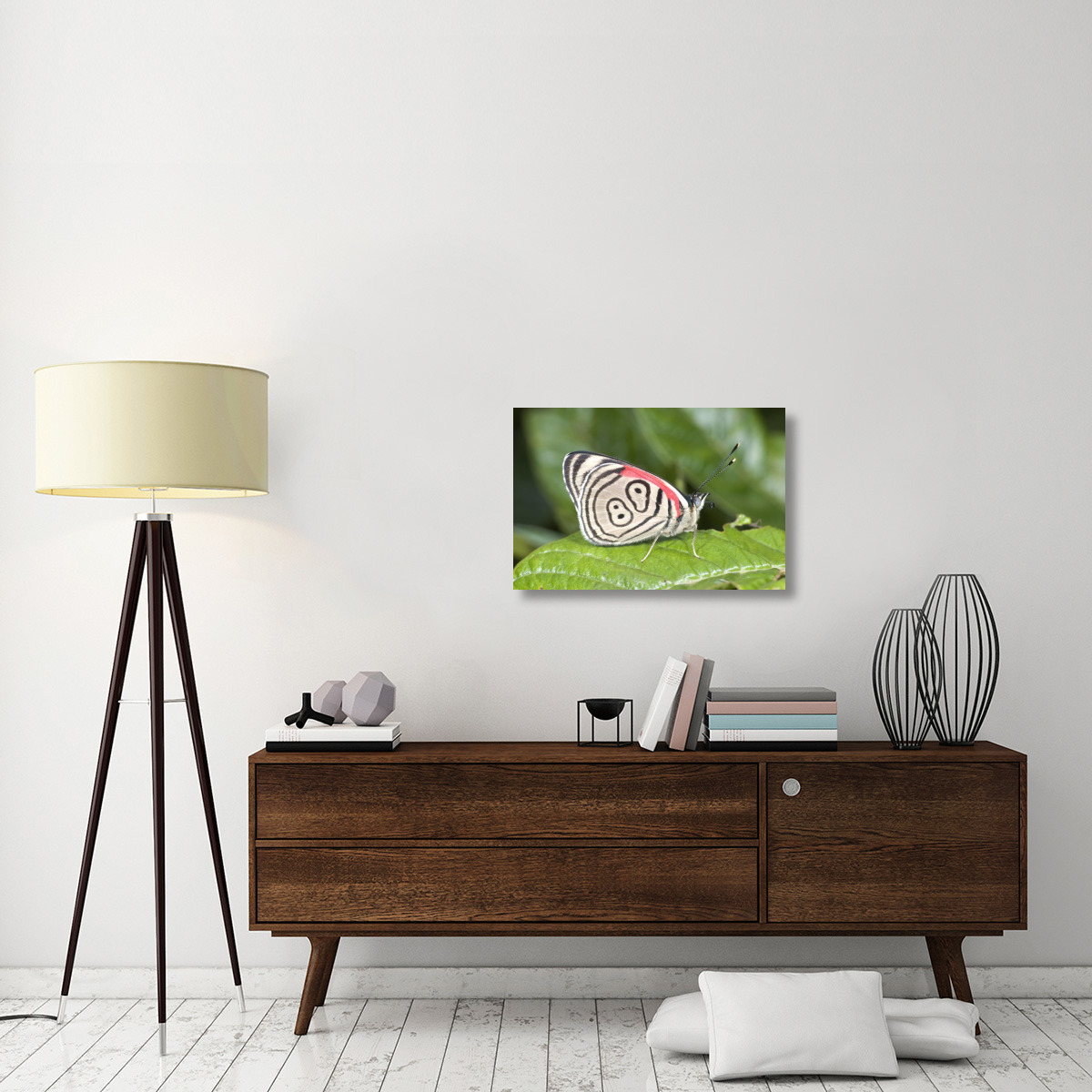 Eighty-nine butterfly, Ecuador-Canvas Art-30&quotx20"