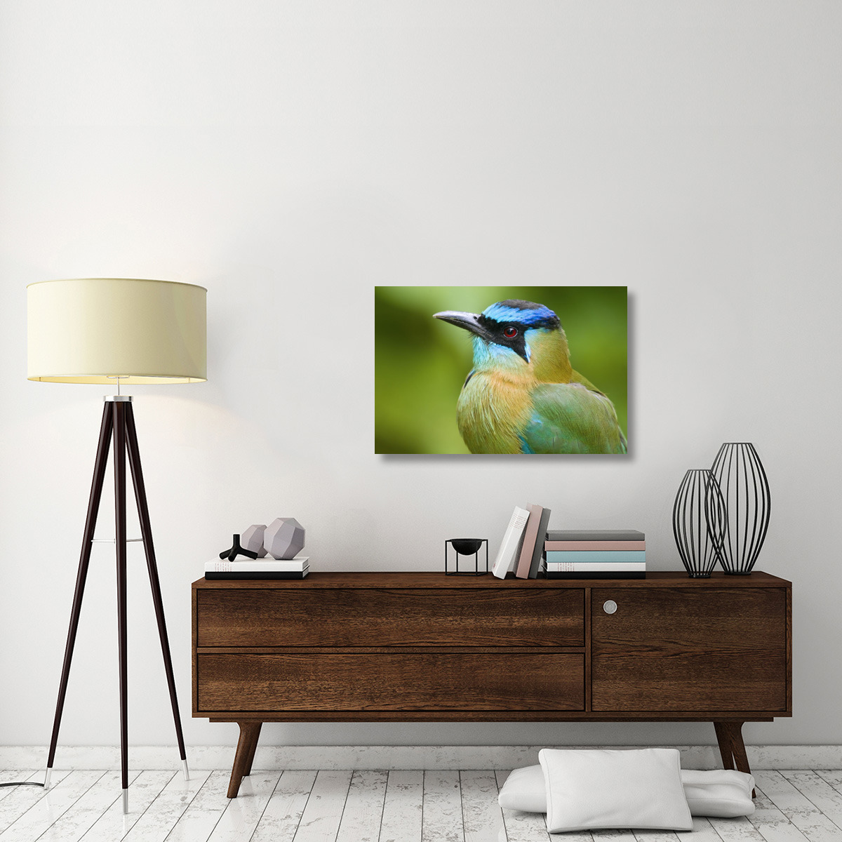 Blue-crowned Motmot, Costa Rica-Canvas Art-36&quotx24"