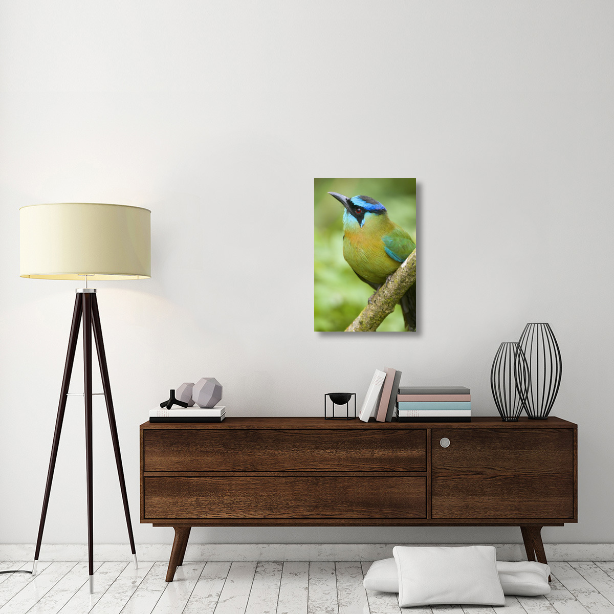 Blue-crowned Motmot, Costa Rica-Canvas Art-20&quotx30"