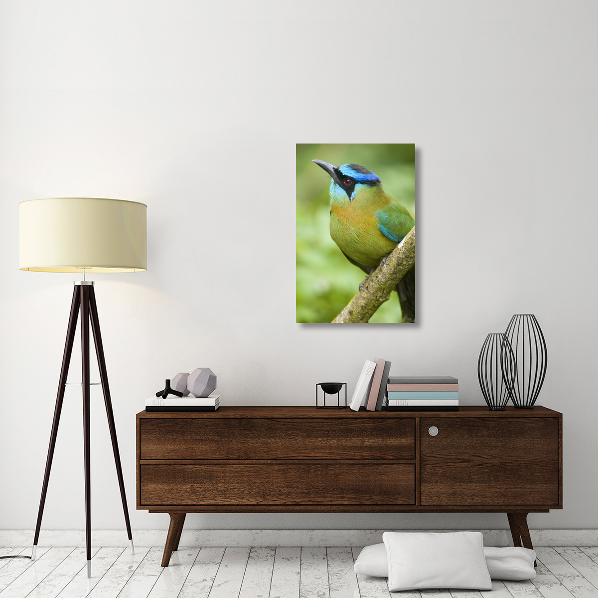 Blue-crowned Motmot, Costa Rica-Canvas Art-24&quotx36"