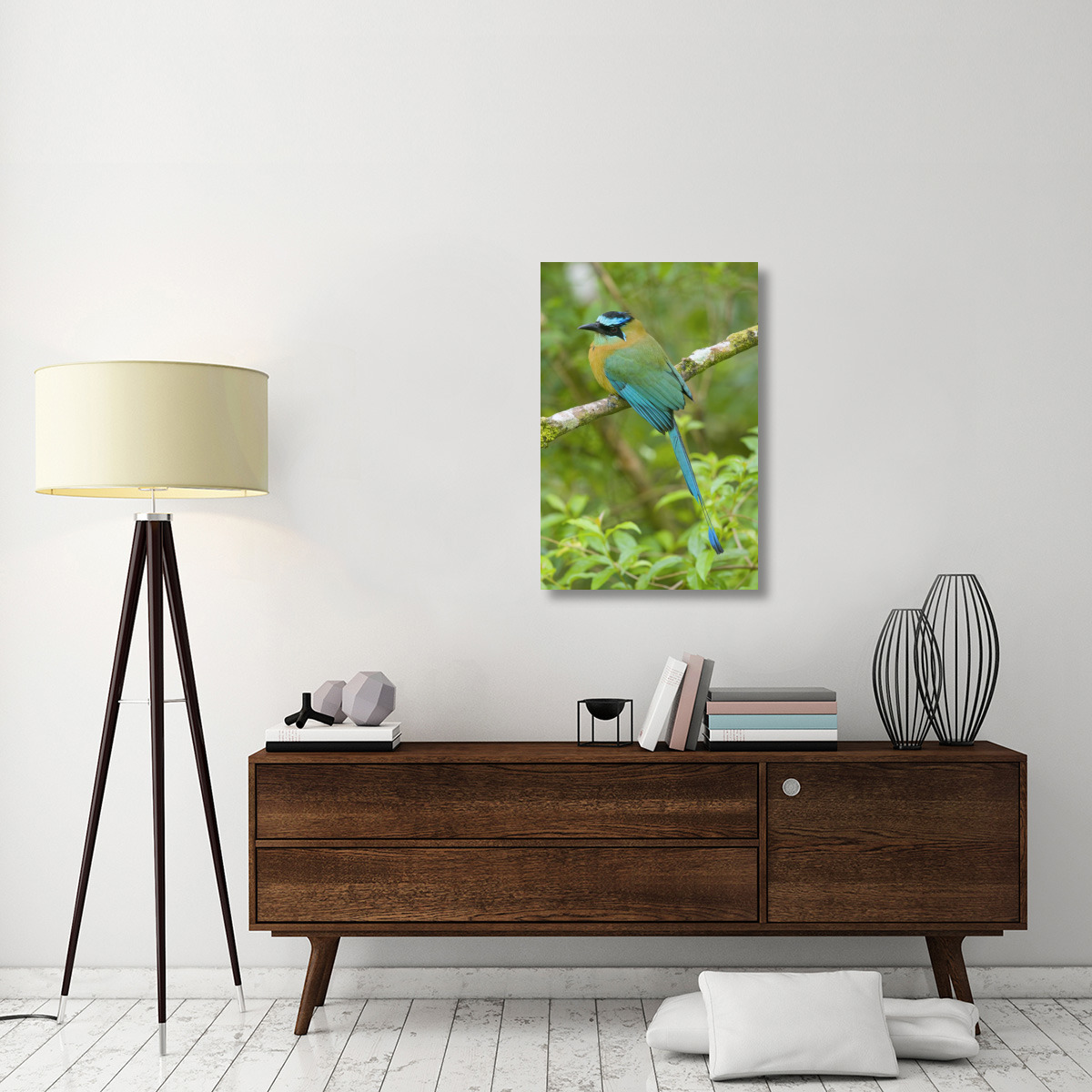 Blue-crowned Motmot, Costa Rica-Canvas Art-24&quotx36"