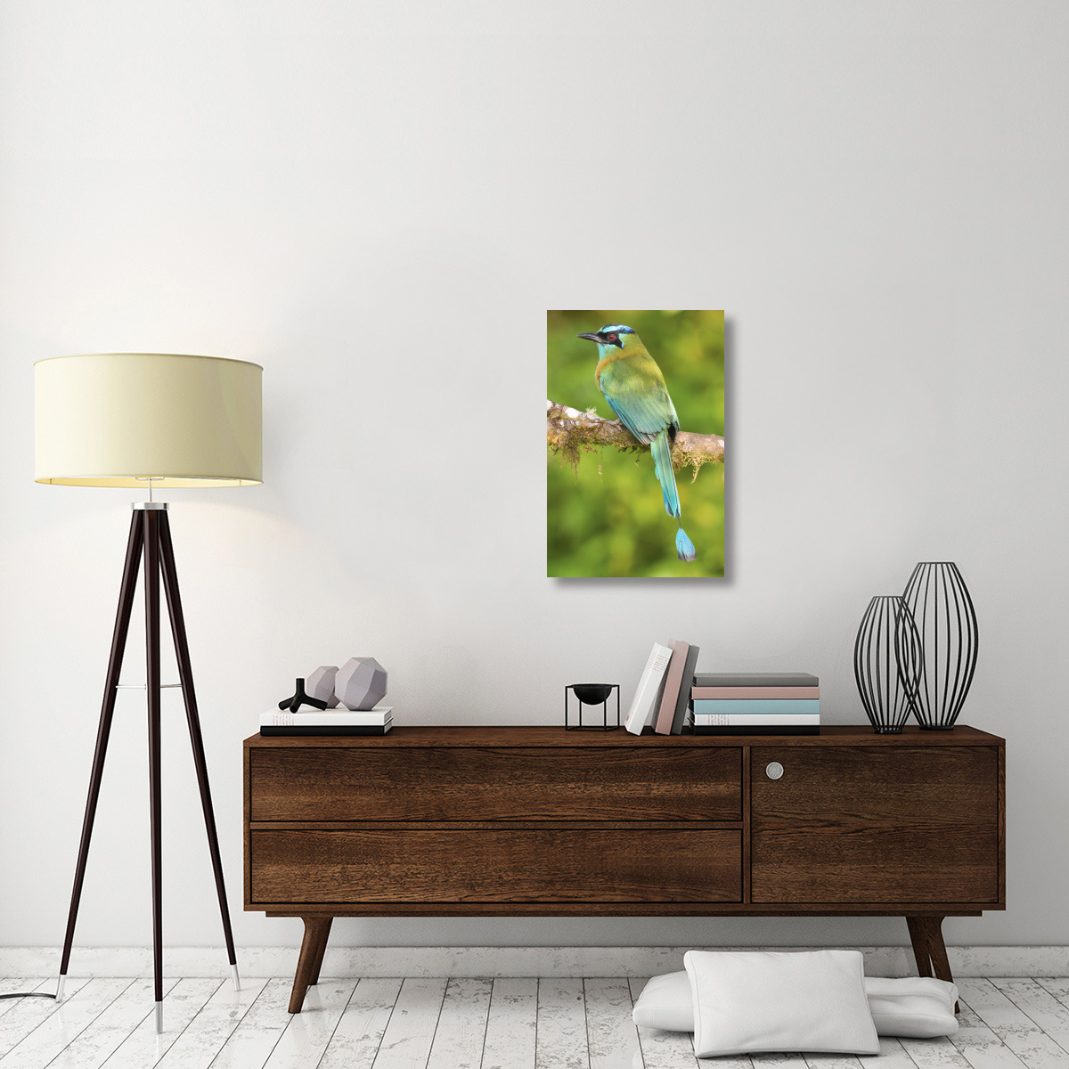 Blue-crowned Motmot, Costa Rica-Canvas Art-20&quotx30"