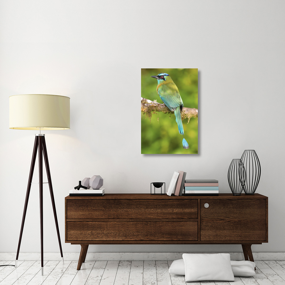 Blue-crowned Motmot, Costa Rica-Canvas Art-24&quotx36"