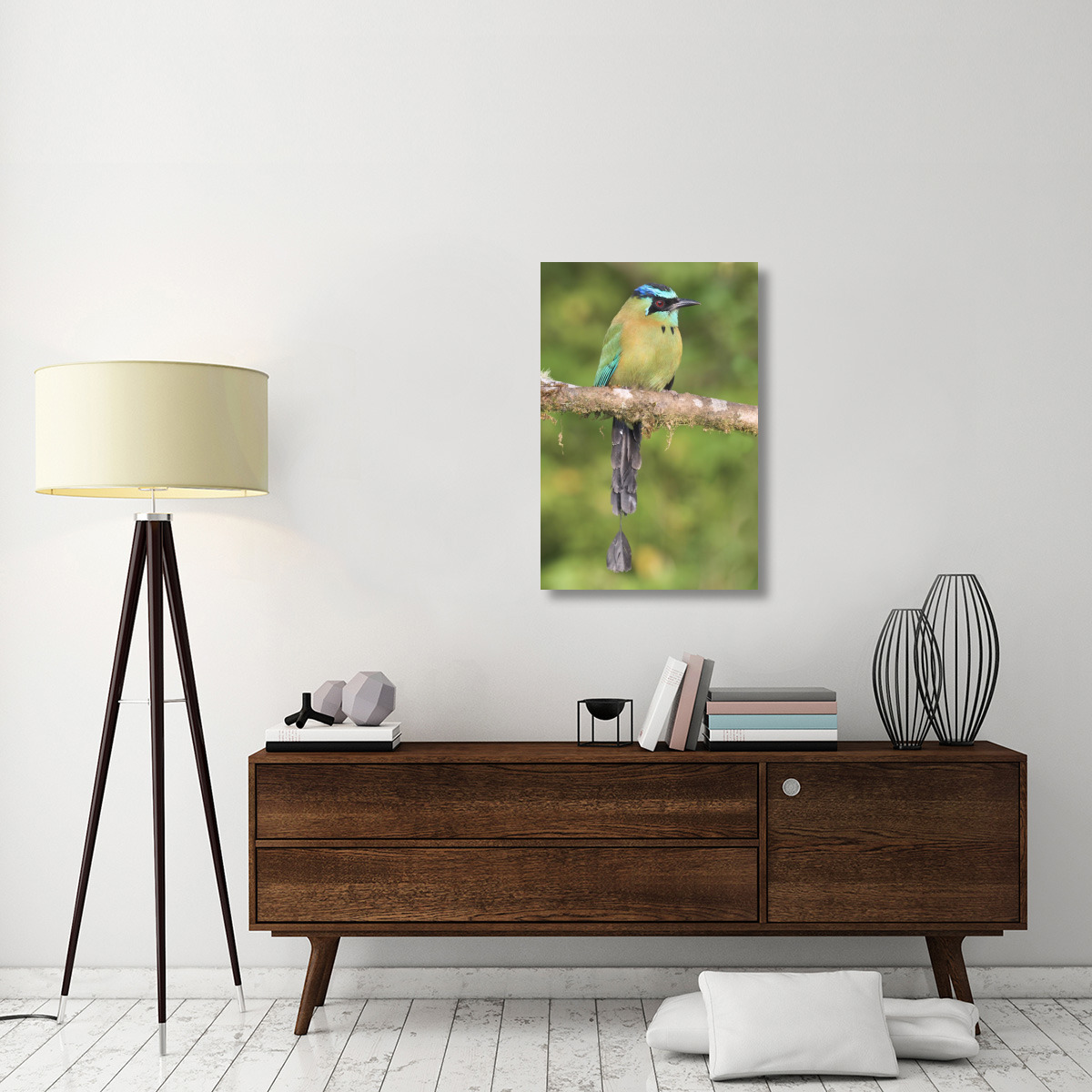 Blue-crowned Motmot, Costa Rica-Canvas Art-24&quotx36"