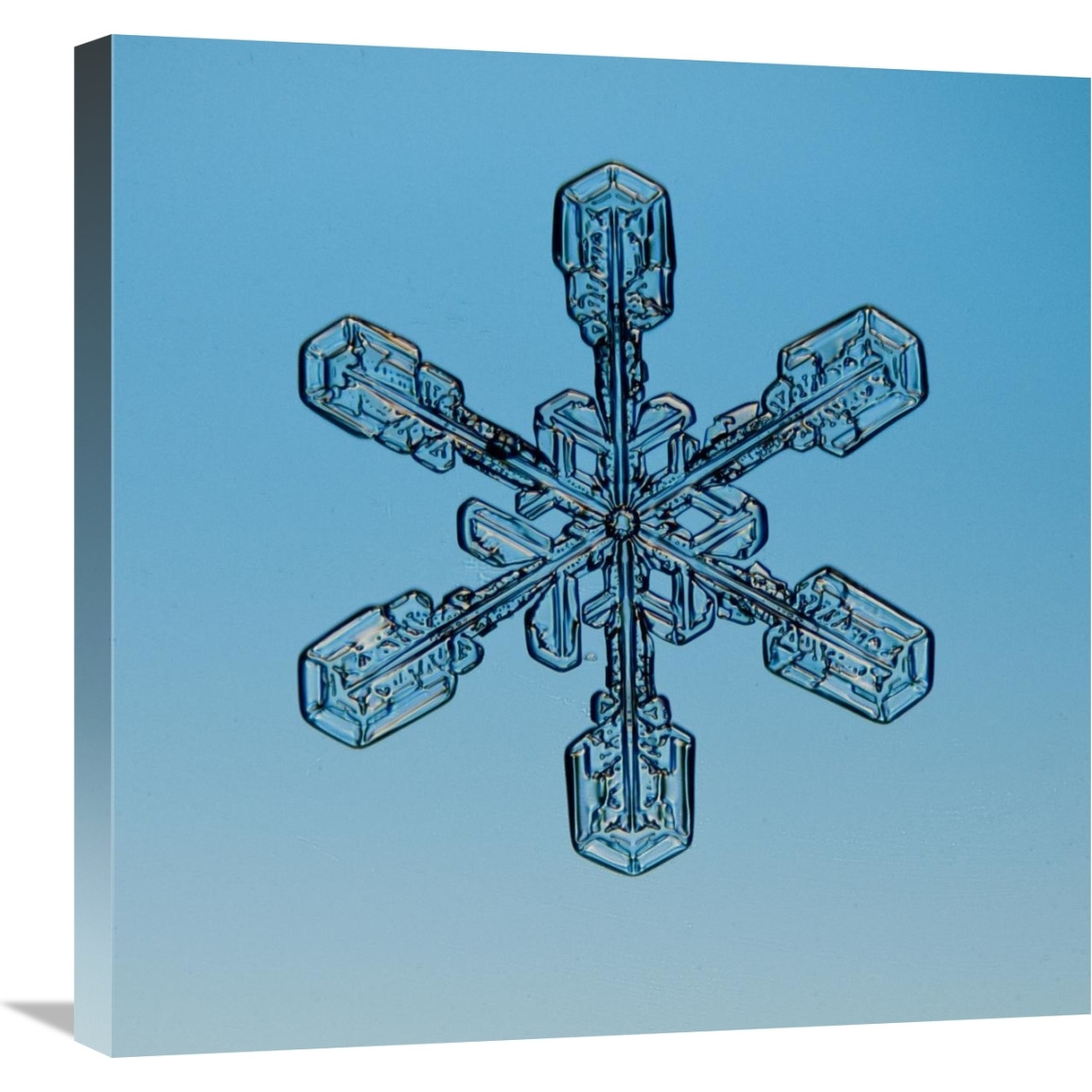 Snowflake seen through microscope-Canvas Art-24&quotx24"