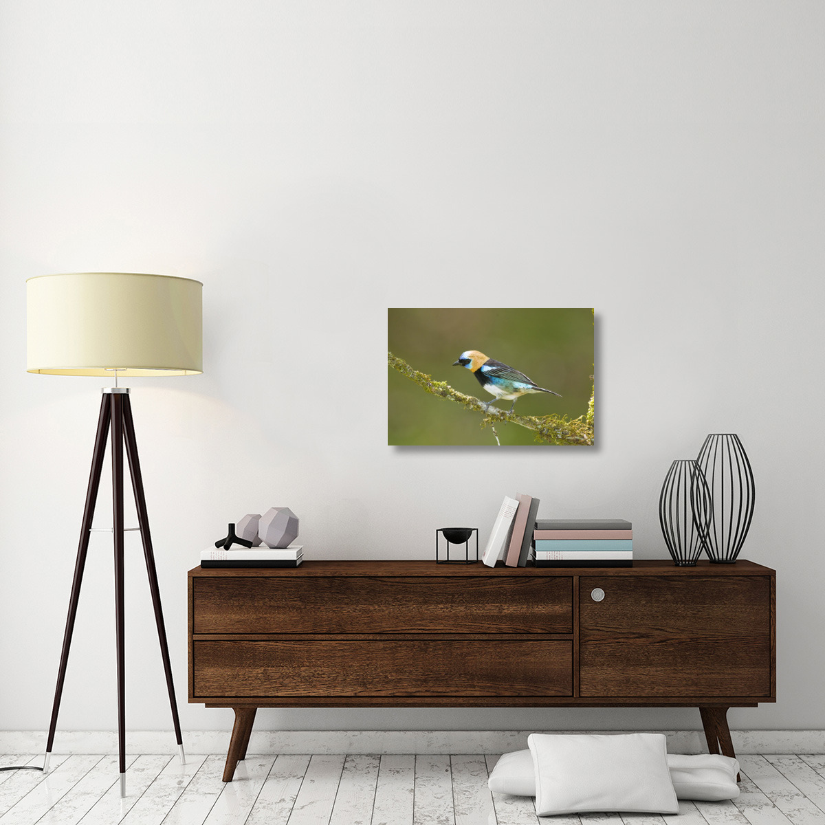 Golden-hooded Tanager, Costa Rica-Canvas Art-30&quotx20"