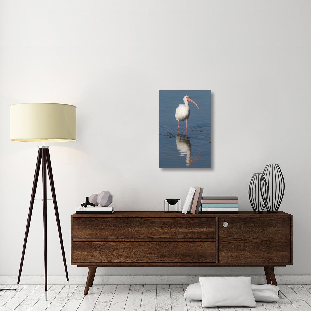 White Ibis, Fort Myers Beach, Florida-Canvas Art-20&quotx30"