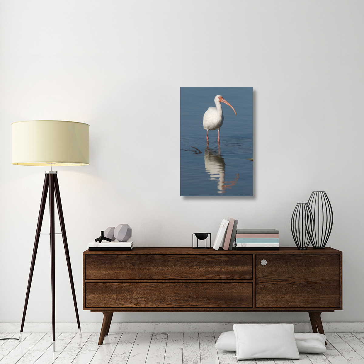 White Ibis, Fort Myers Beach, Florida-Canvas Art-24&quotx36"