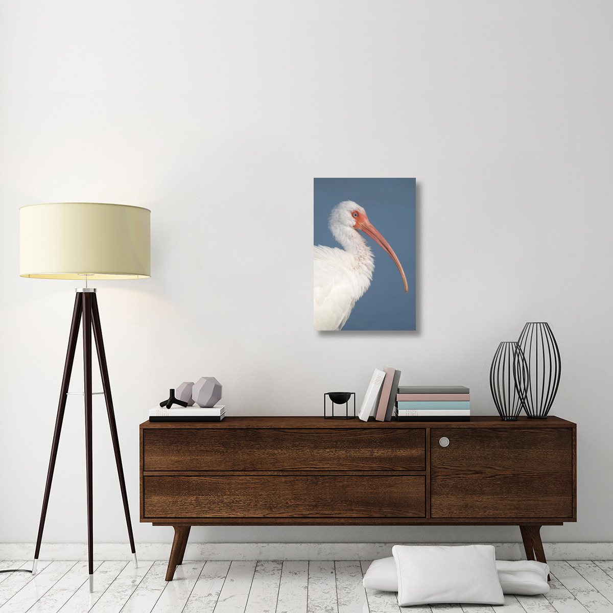 White Ibis, Fort Myers Beach, Florida-Canvas Art-20&quotx30"