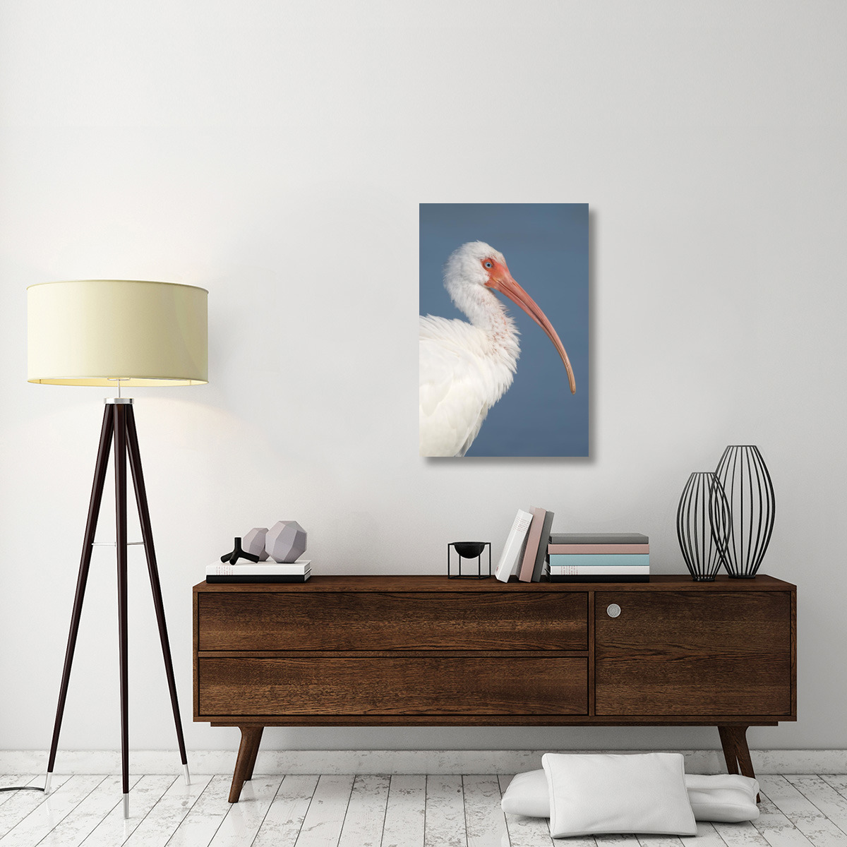 White Ibis, Fort Myers Beach, Florida-Canvas Art-24&quotx36"