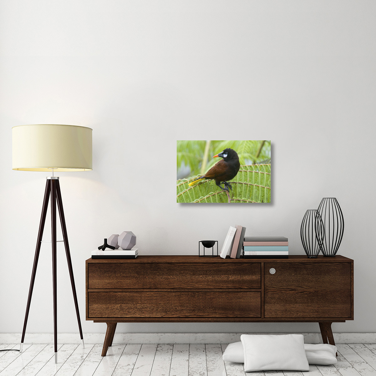 Chestnut-headed Oropendola, Costa Rica-Canvas Art-30&quotx20"