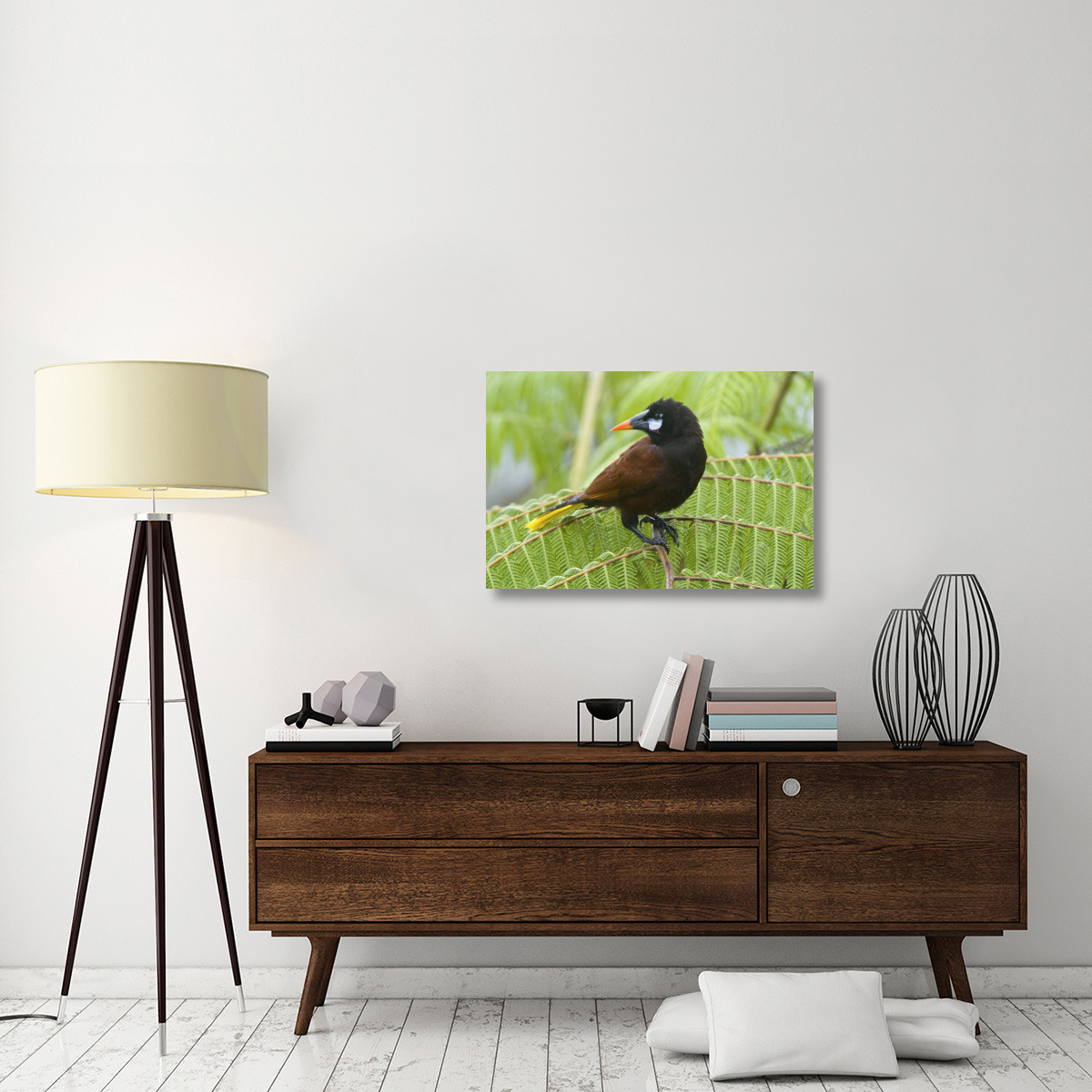 Chestnut-headed Oropendola, Costa Rica-Canvas Art-36&quotx24"