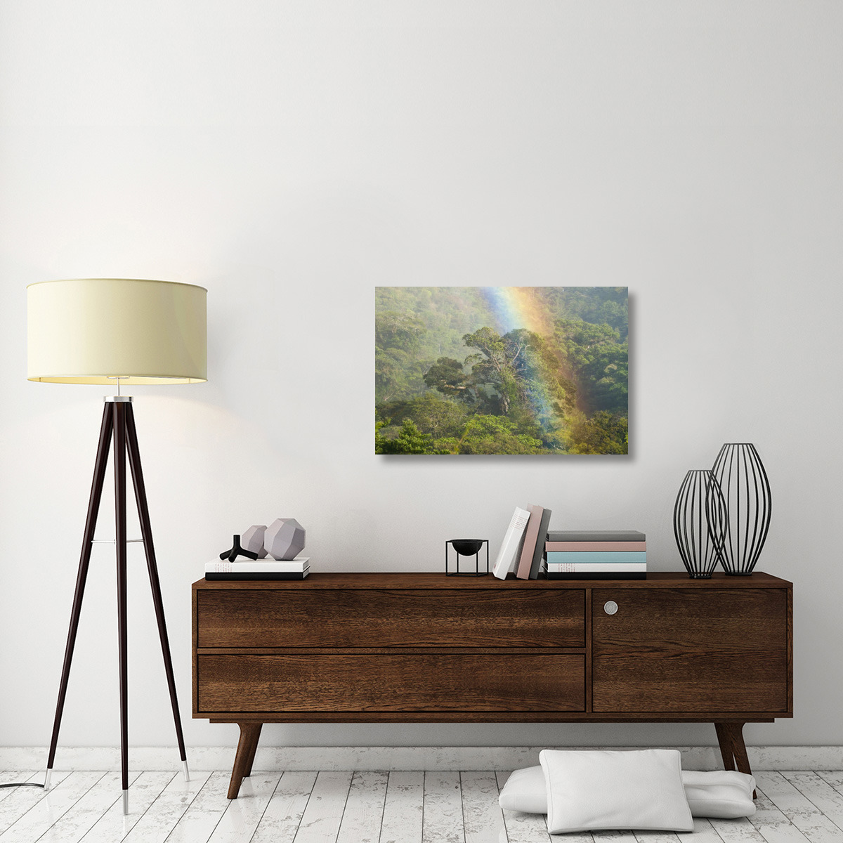 Rainbow over rainforest canopy, Costa Rica-Canvas Art-36&quotx24"