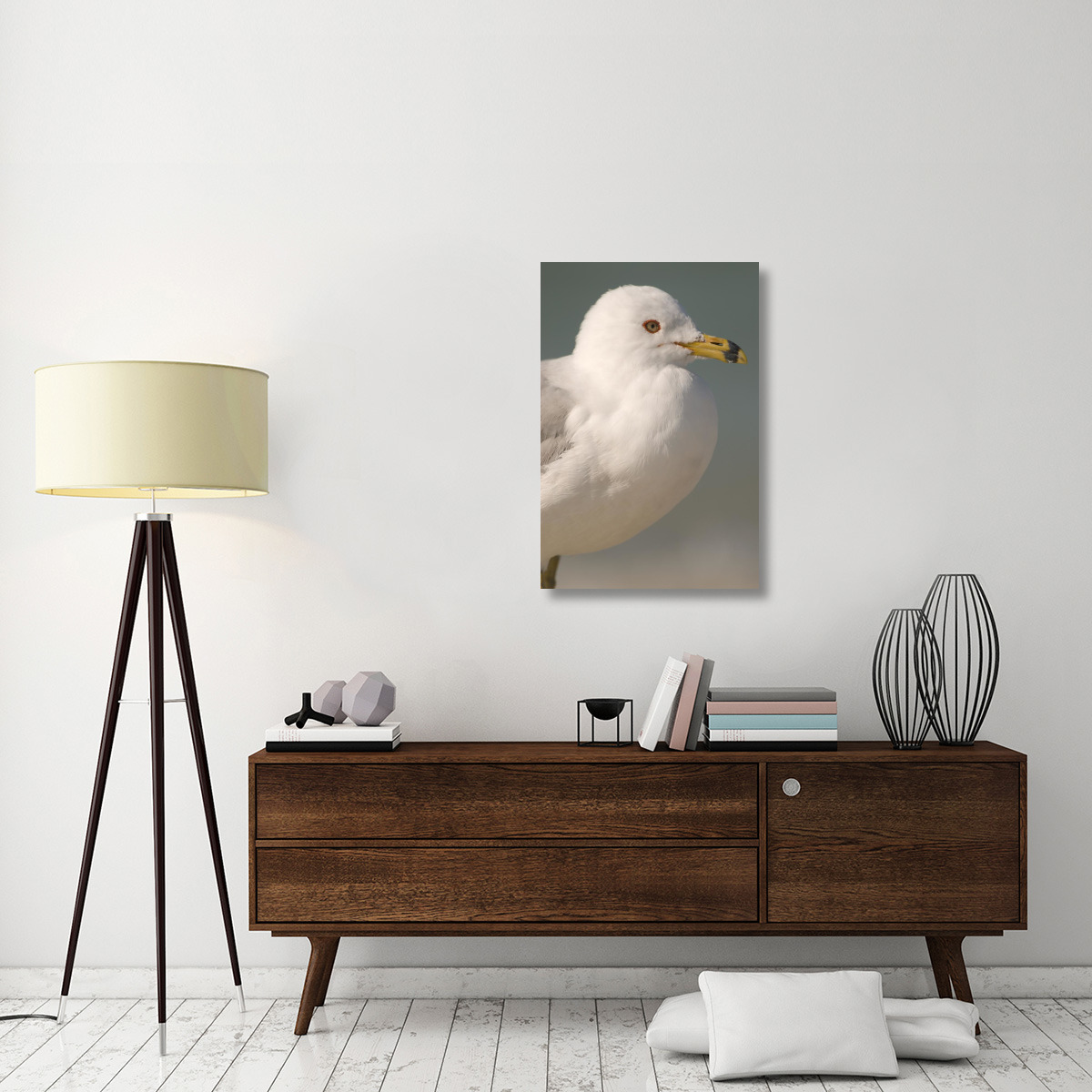 Ring-billed Gull, Fort Desoto Park, Florida-Canvas Art-24&quotx36"