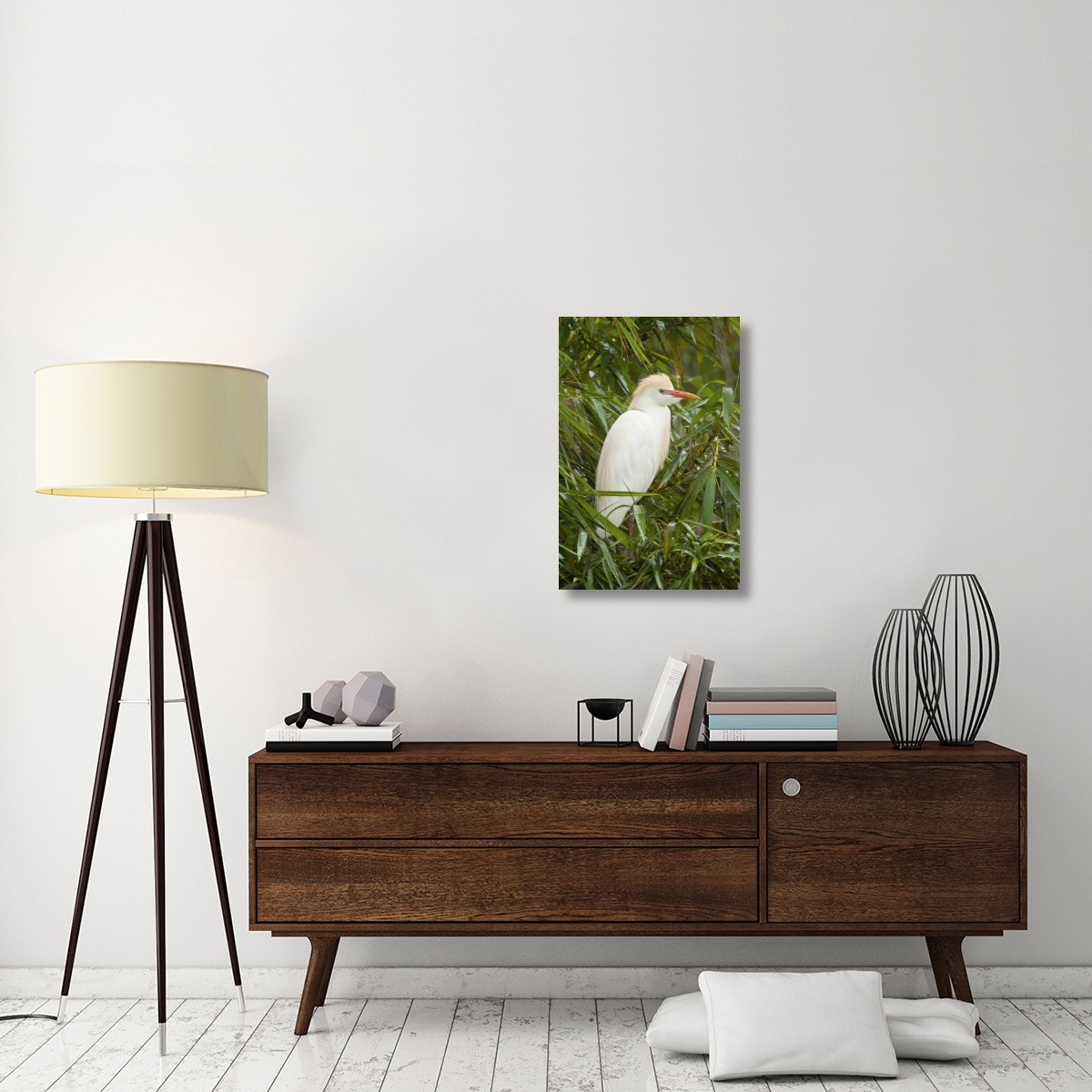 Cattle Egret in breeding plumage, Costa Rica-Canvas Art-20&quotx30"