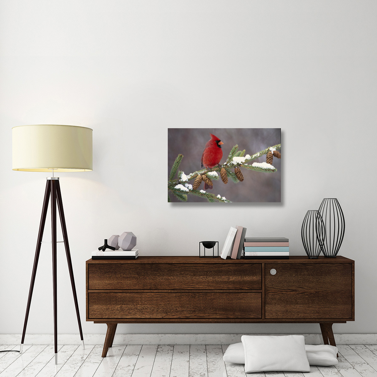 Northern Cardinal male, South Lyon, Michigan-Canvas Art-36&quotx24"