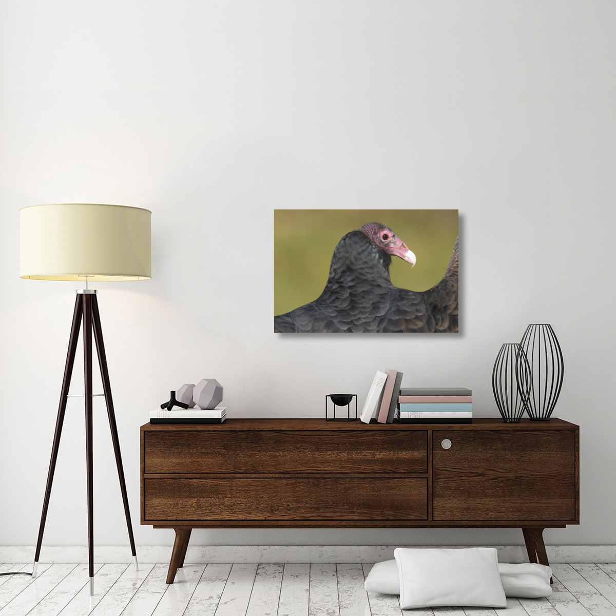 Turkey Vulture, Howell Nature Center, Michigan-Canvas Art-36&quotx24"