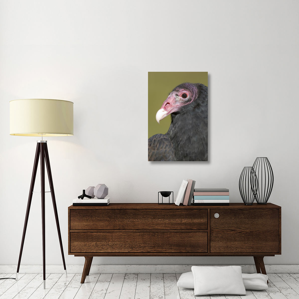 Turkey Vulture, Howell Nature Center, Michigan-Canvas Art-24&quotx36"