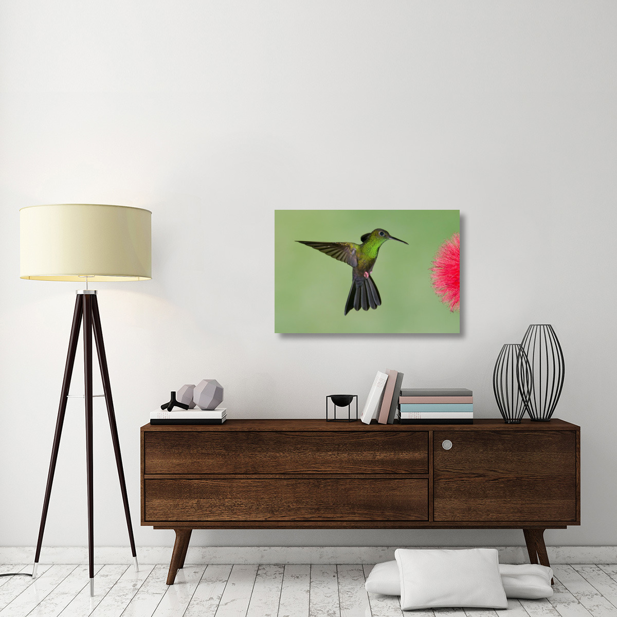 Red-footed Plumeleteer male flying, Costa Rica-Canvas Art-36&quotx24"