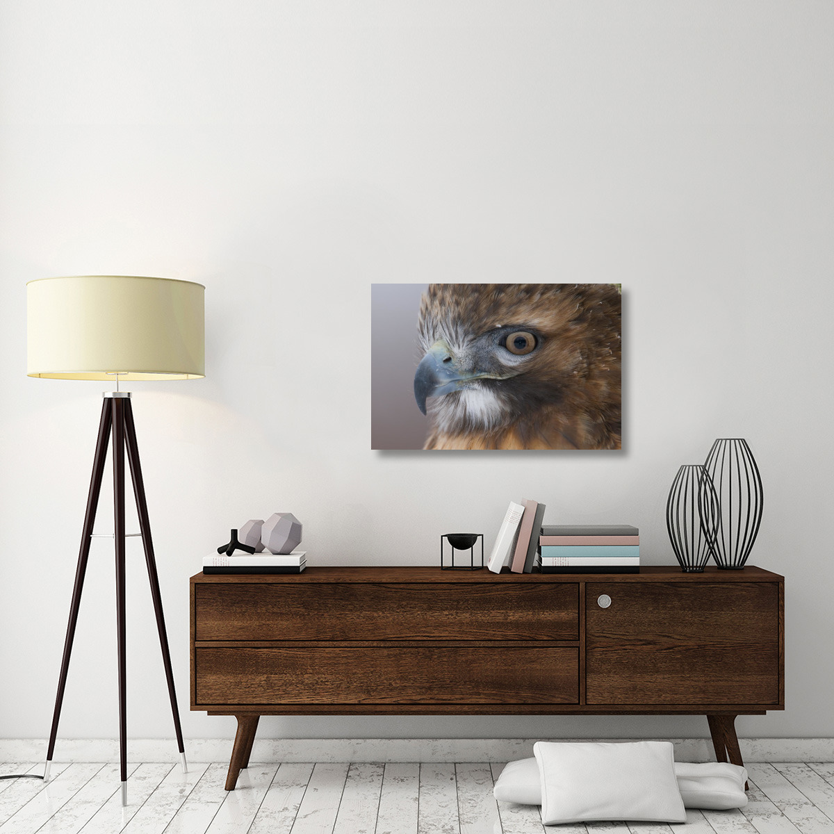 Red-tailed Hawk, Howell Nature Center, Michigan-Canvas Art-36&quotx24"