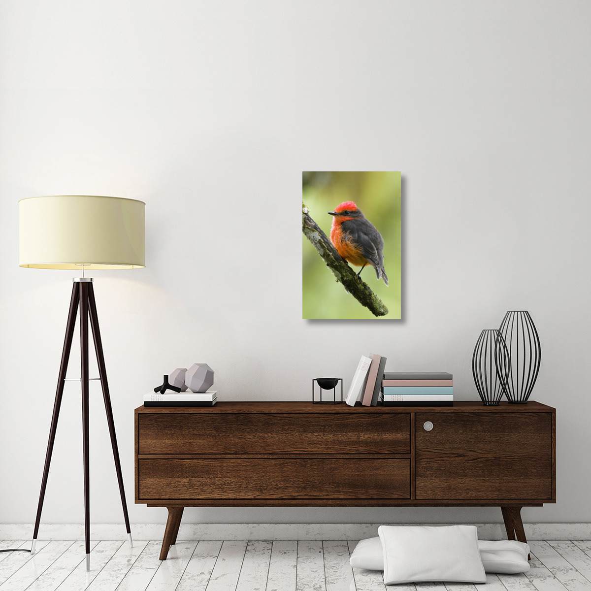 Vermilion Flycatcher male, Galapagos Islands, Ecuador-Canvas Art-20&quotx30"