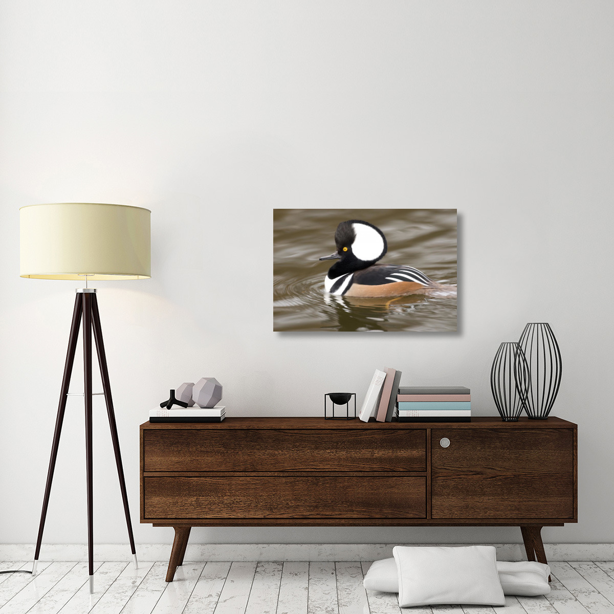 Hooded Merganser male, Kellogg Bird Sanctuary, Michigan-Canvas Art-36&quotx24"